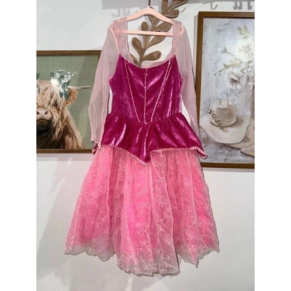 Princess Sleeping Beauty Halloween costume dress up